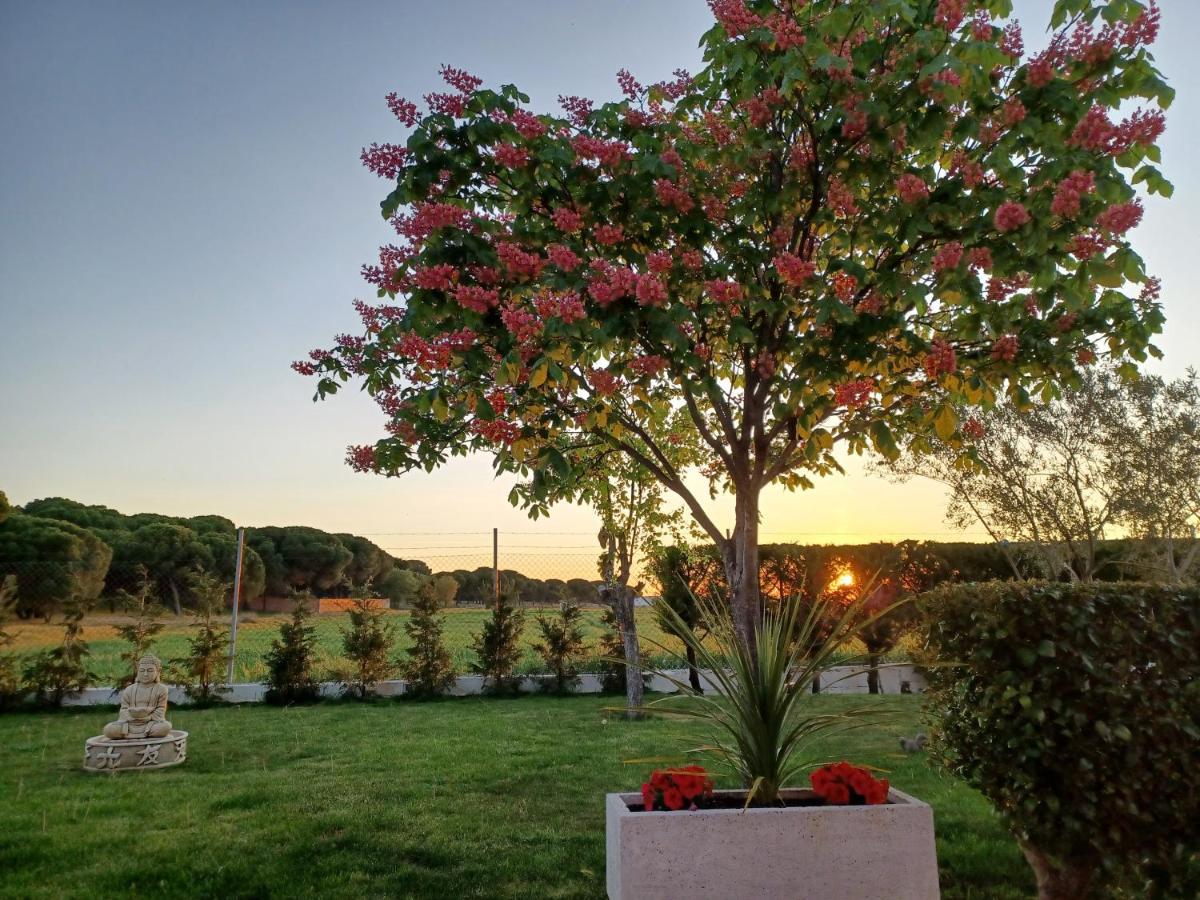 Vila La Espiga Valladolid Exteriér fotografie